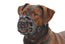 Plastic Buster Muzzle Size 6