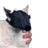 Buster Nylon Cat Muzzle