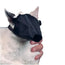 Buster Nylon Cat Muzzle