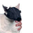 Buster Nylon Cat Muzzle