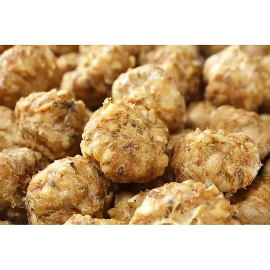 Calibra Joy Dogs Natural Beef & Lung Pellets 900Gr
