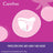 Carefree Plus Large Light Fragrance 48Pcs