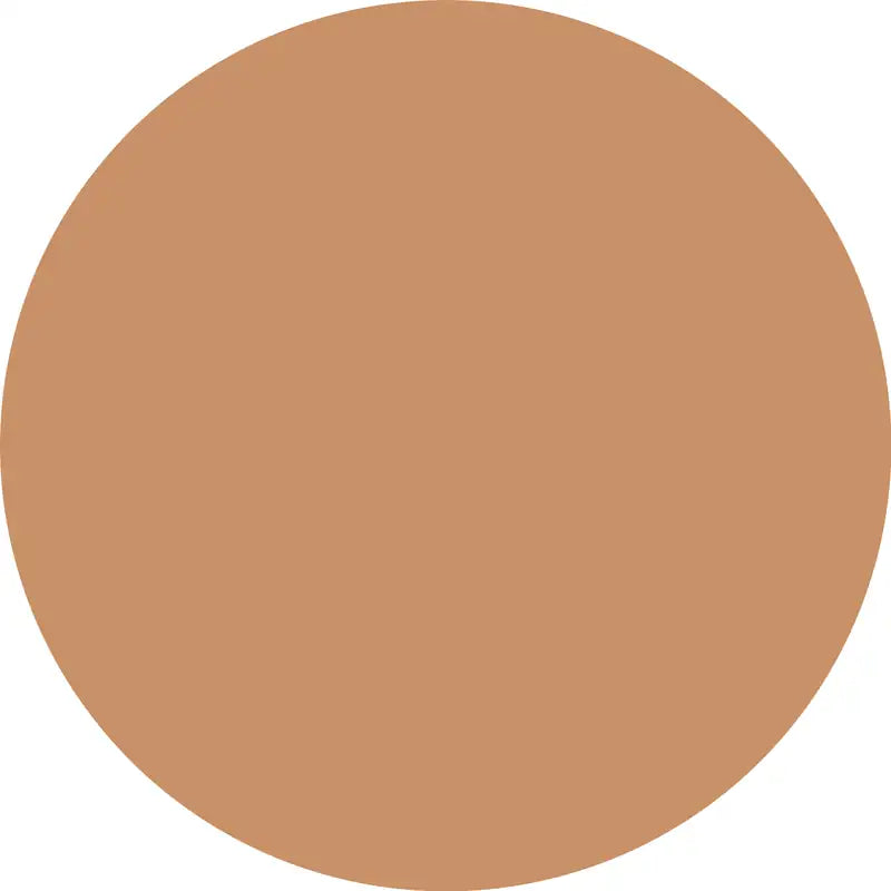 Catrice Skin Like Foundation 048N, 30 ml