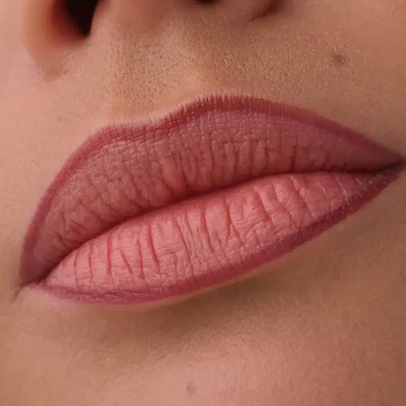 Catrice Precision Ink Lip Liner 010, 1 ml