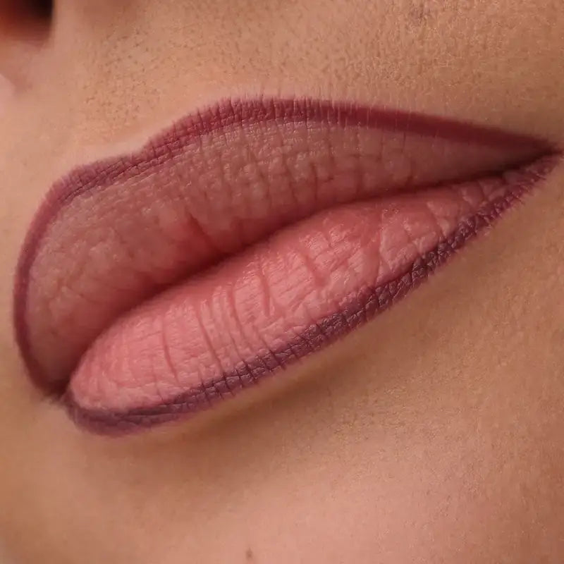 Catrice Precision Ink Lip Liner 018, 1 ml