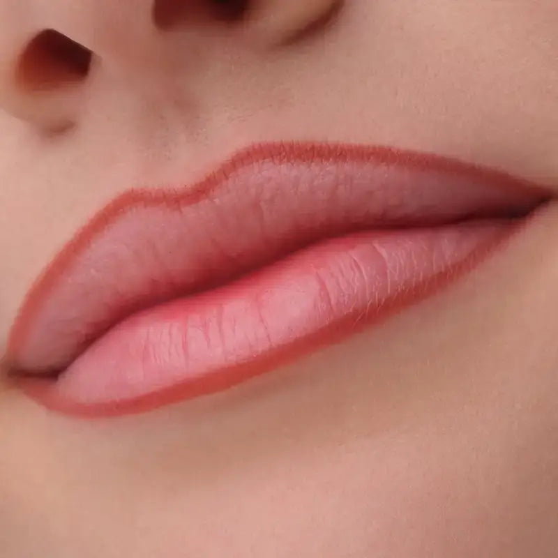 Catrice Precision Ink Lip Liner 020, 1 ml