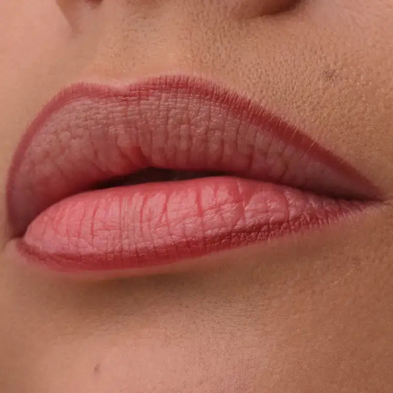 Catrice Precision Ink Lip Liner 030, 1 ml