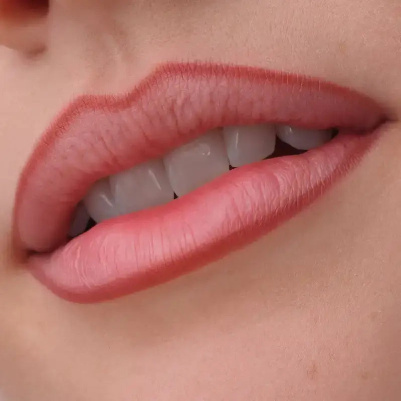 Catrice Precision Ink Lip Liner 040, 1 ml