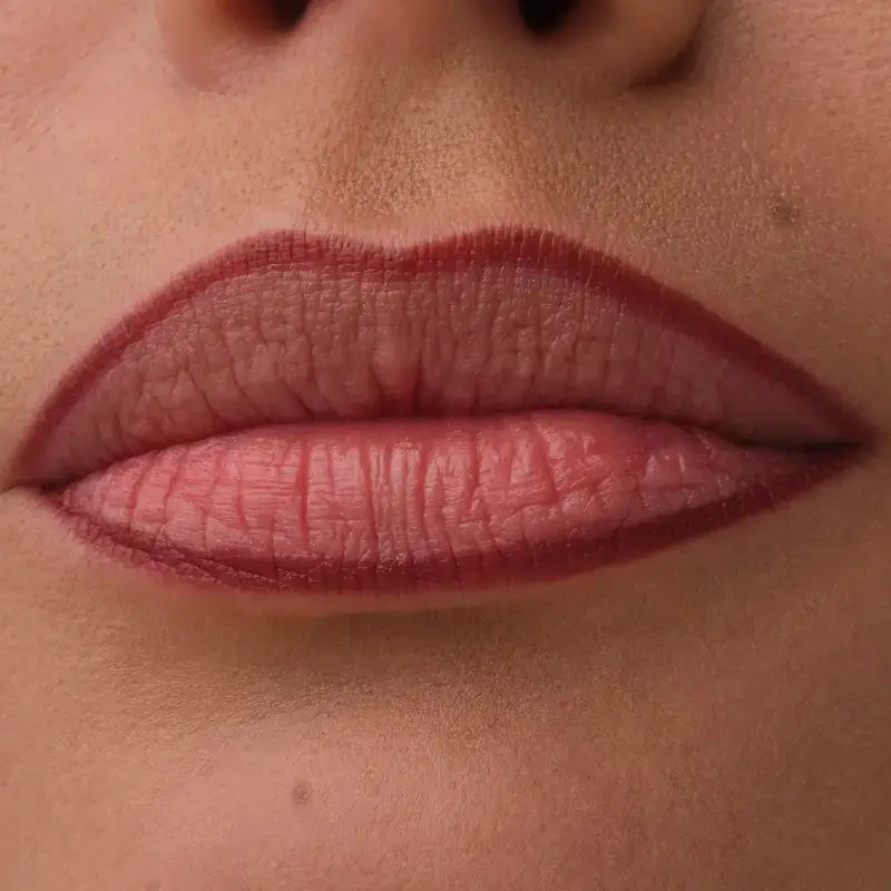 Catrice Precision Ink Lip Liner 050, 1 ml
