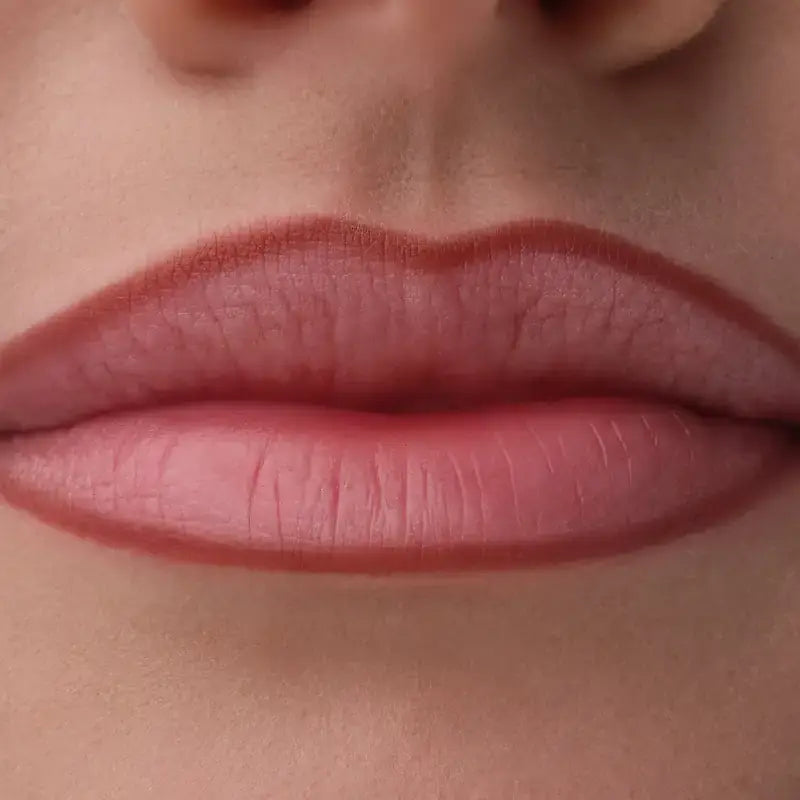 Catrice Precision Ink Lip Liner 060, 1 ml