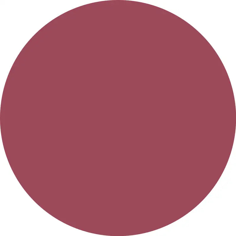 Catrice Precision Ink Lip Liner 070, 1 ml