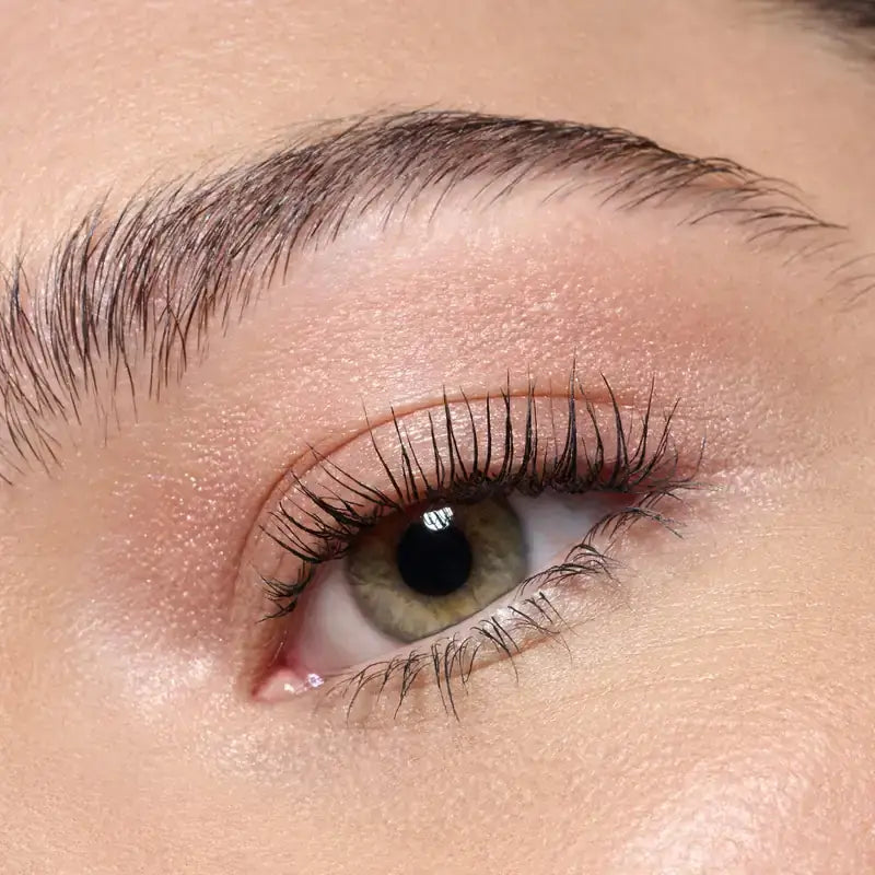 Catrice Jumbo Soft Blend Eyeshadow 010, 1.65 g