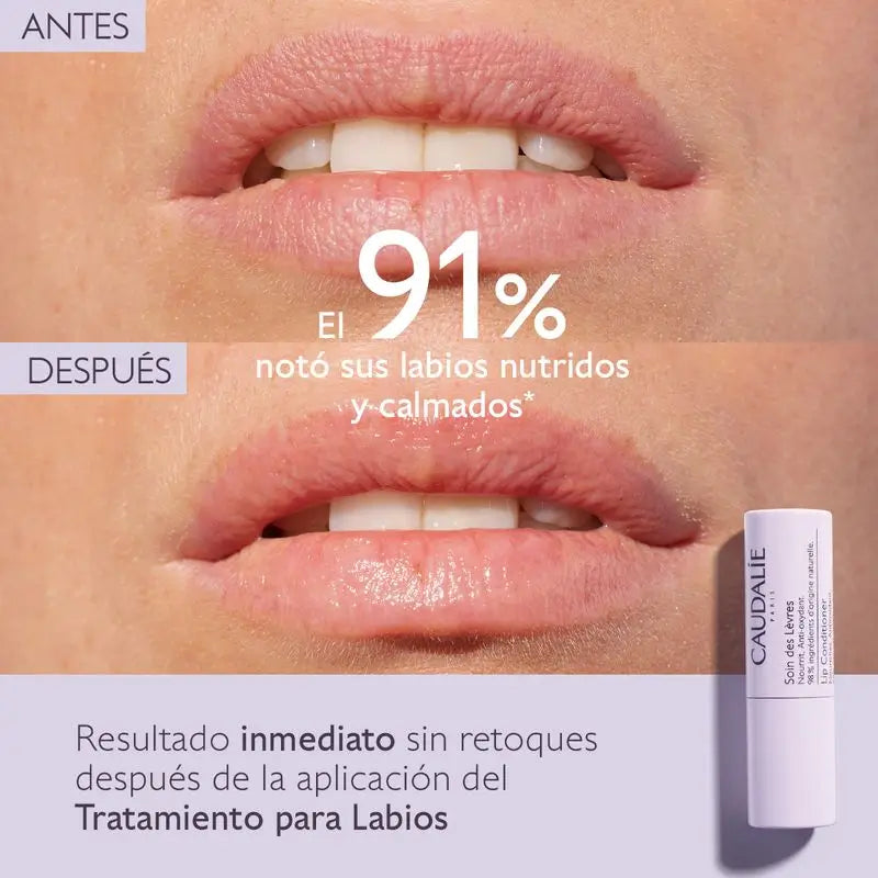 Caudalie Lip Treatment, 4.5 g