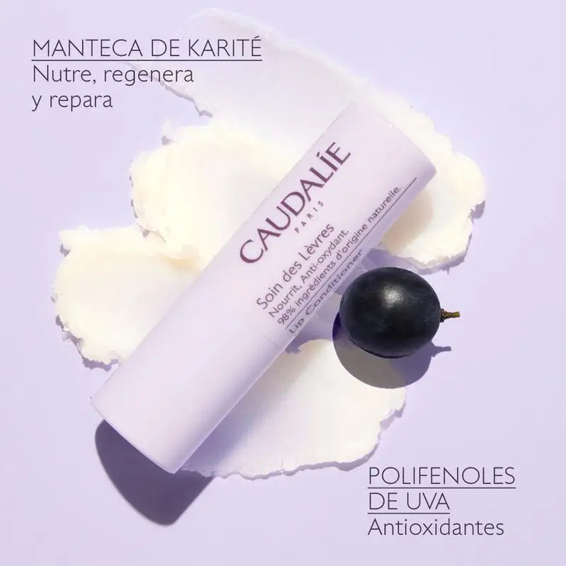 Caudalie Lip Treatment, 4.5 g