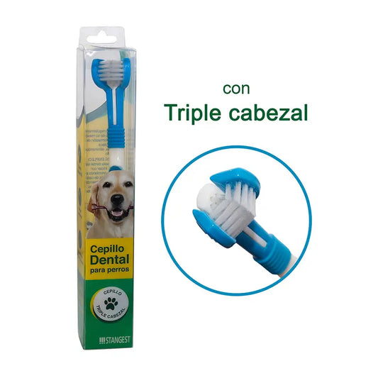 Stangest Difresh Toothbrush With Case