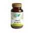 Cfn Ginkgo Biloba St , 60 capsules