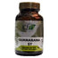 Cfn Guanaba (Graviola) 60 Capsules