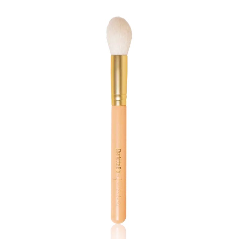 Charlotte Bio As "Healthy Glow" Brush
