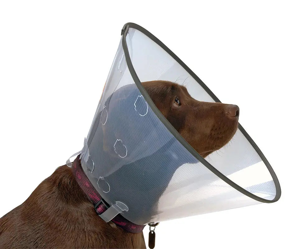 Isabelino Comfort Collar 25, 5pcs