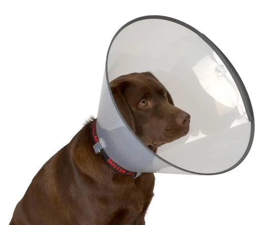 Elizabethan Comfort Collar 7,5, 5pcs