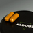 Aldous Bio Turmeric with Ginger and Black Pepper with Probiotics, 250 capsules