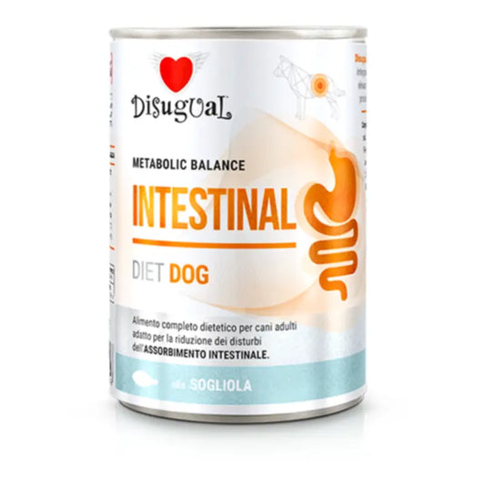 Disugual Diet Dog Intestinal Sole, 6x400