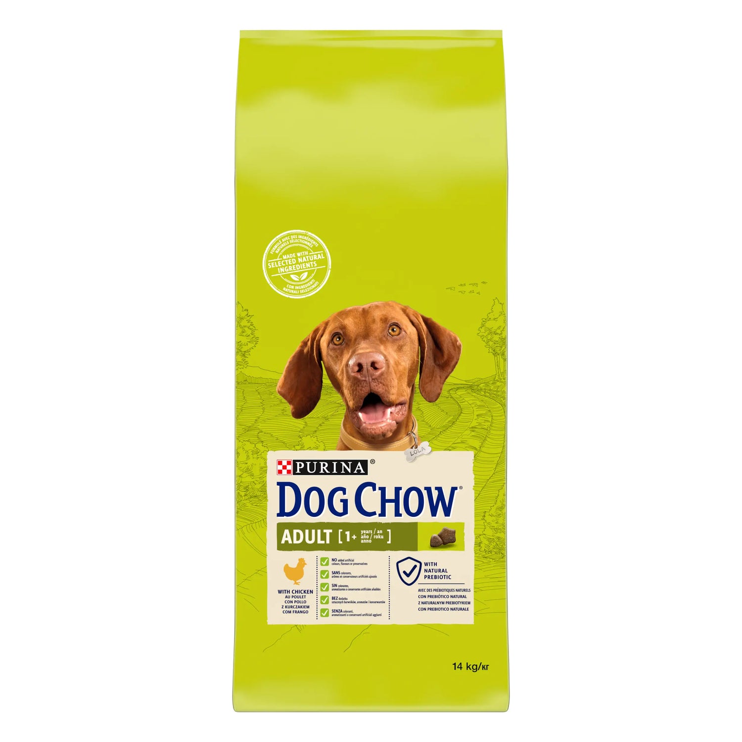 Dog Chow Canine Adult Chicken 14kg, dog food for dogs