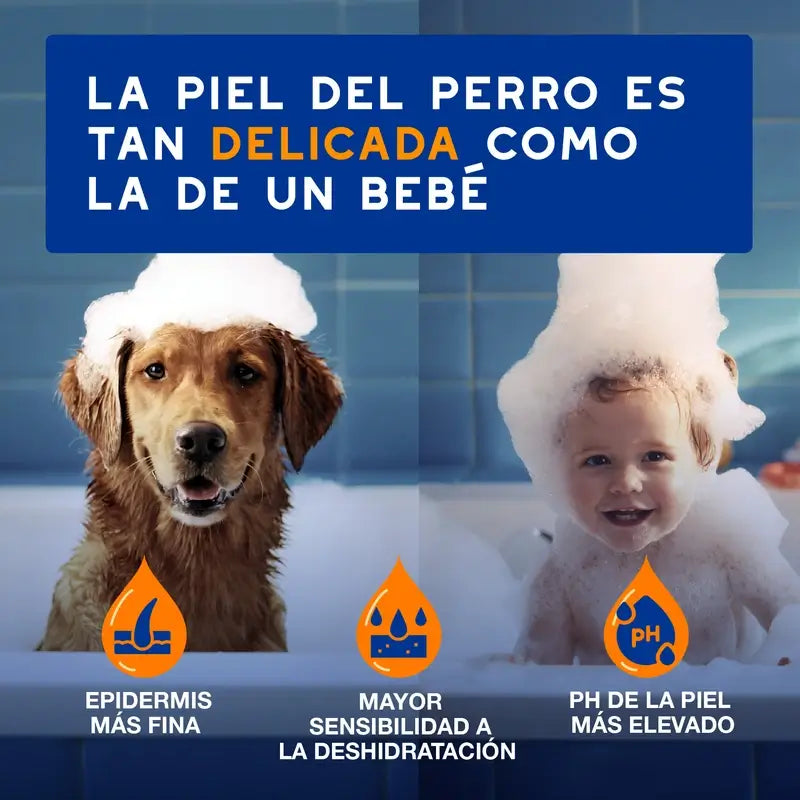 Douxo Skin & Coat Spa 2 In 1 Dog Shampoo & Conditioner, 250 ml