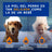 Douxo Skin & Coat Spa 2 In 1 Dog Shampoo & Conditioner, 250 ml