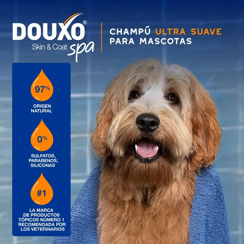 Douxo Skin & Coat Spa 2 In 1 Dog Shampoo & Conditioner, 250 ml
