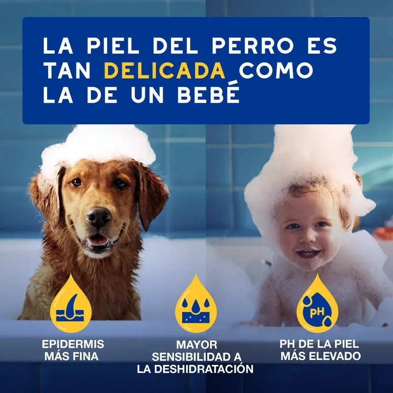 Douxo Skin & Coat Spa Oatmeal Conditioner For Dogs, 250ml