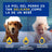 Douxo Skin & Coat Spa Oatmeal Conditioner For Dogs, 250ml