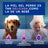 Douxo Skin & Coat Spa Soothing Dog Shampoo, 250 ml