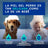 Douxo Skin & Coat Spa Anti-Pain Dog Shampoo, 250 ml