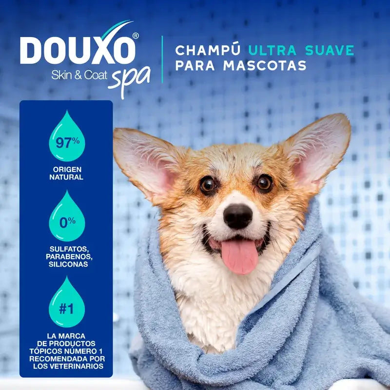 Douxo Skin & Coat Spa Anti-Pain Dog Shampoo, 250 ml