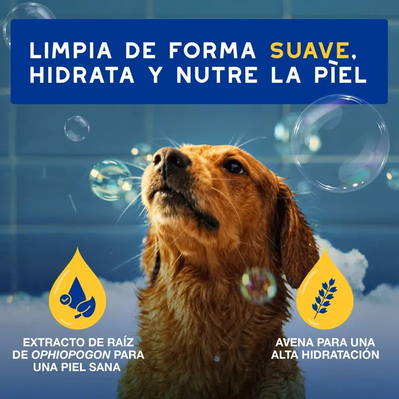 Douxo Skin & Coat Spa Oatmeal Shampoo For Dogs, 250 ml