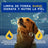 Douxo Skin & Coat Spa Oatmeal Shampoo For Dogs, 250 ml