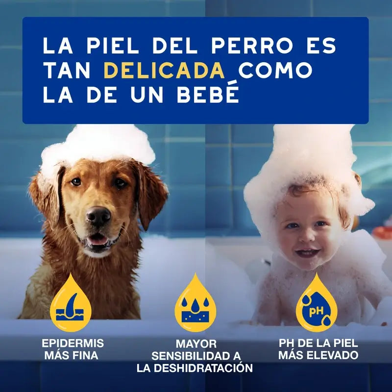 Douxo Skin & Coat Spa Oatmeal Shampoo For Dogs, 250 ml