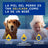 Douxo Skin & Coat Spa Oatmeal Shampoo For Dogs, 250 ml