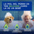 Douxo Skin & Coat Spa Puppy Shampoo, 250 ml