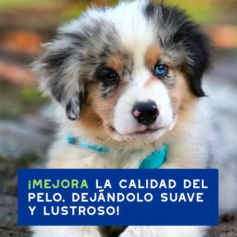 Douxo Skin & Coat Spa Puppy Shampoo, 250 ml
