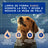 Douxo Skin & Coat Spa Moult Control Shampoo for Dogs, 250 ml
