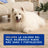 Douxo Skin & Coat Spa Moult Control Shampoo for Dogs, 250 ml