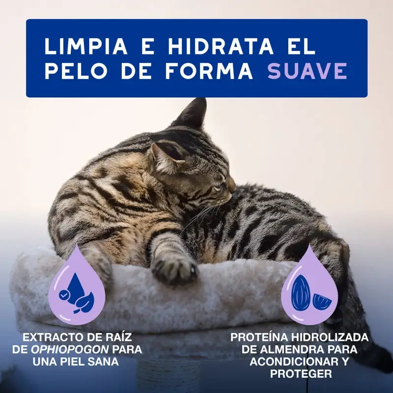 Douxo Skin & Coat Spa Ultra Gentle Cleansing For Stress-Free Cat Cleansing, 150 ml