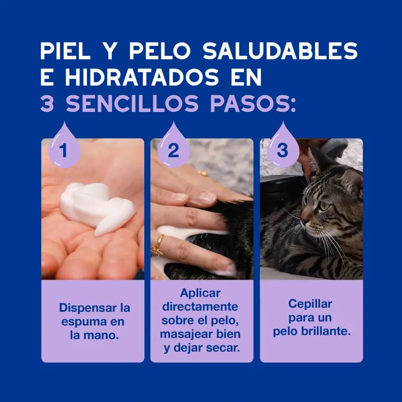 Douxo Skin & Coat Spa Ultra Gentle Cleansing For Stress-Free Cat Cleansing, 150 ml
