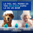 Douxo Skin & Coat Multi-Action Anti-Odour Spa Spray for Dogs, 340 ml
