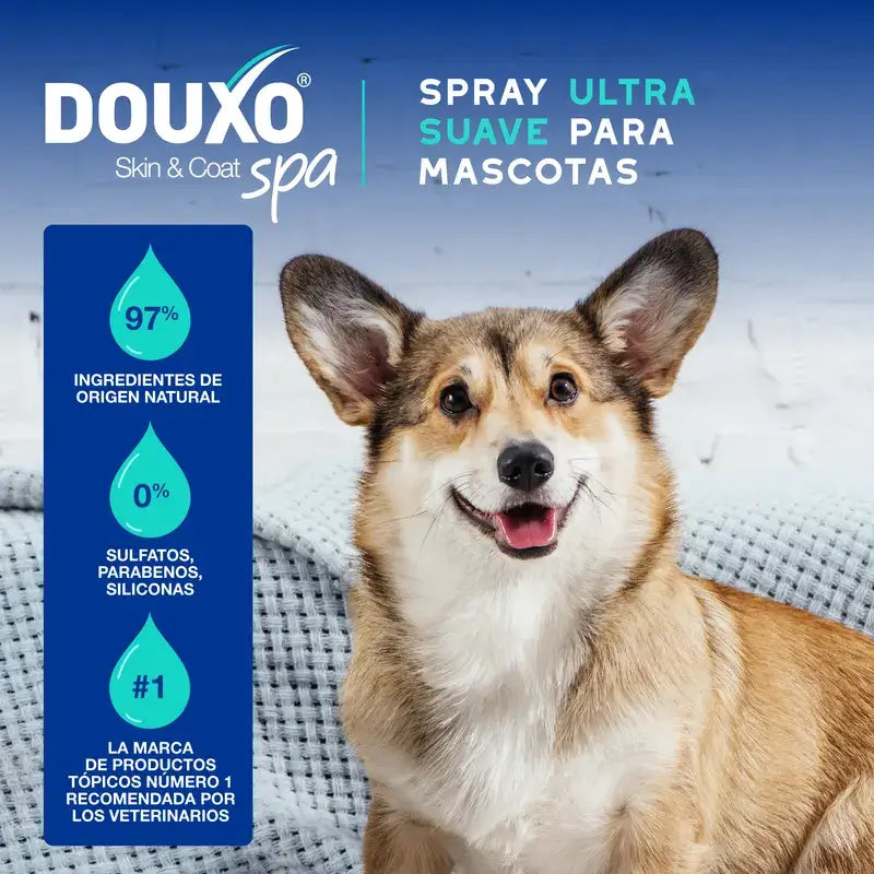 Douxo Skin & Coat Multi-Action Anti-Odour Spa Spray for Dogs, 340 ml