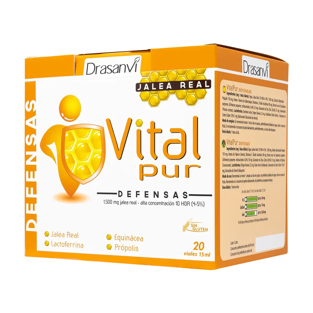 Drasanvi Vitalpur Defences , 20x15 ml