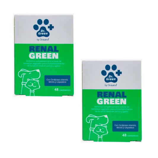 Drgreen Drasanvi Renalgreen , 2X48 Tablets