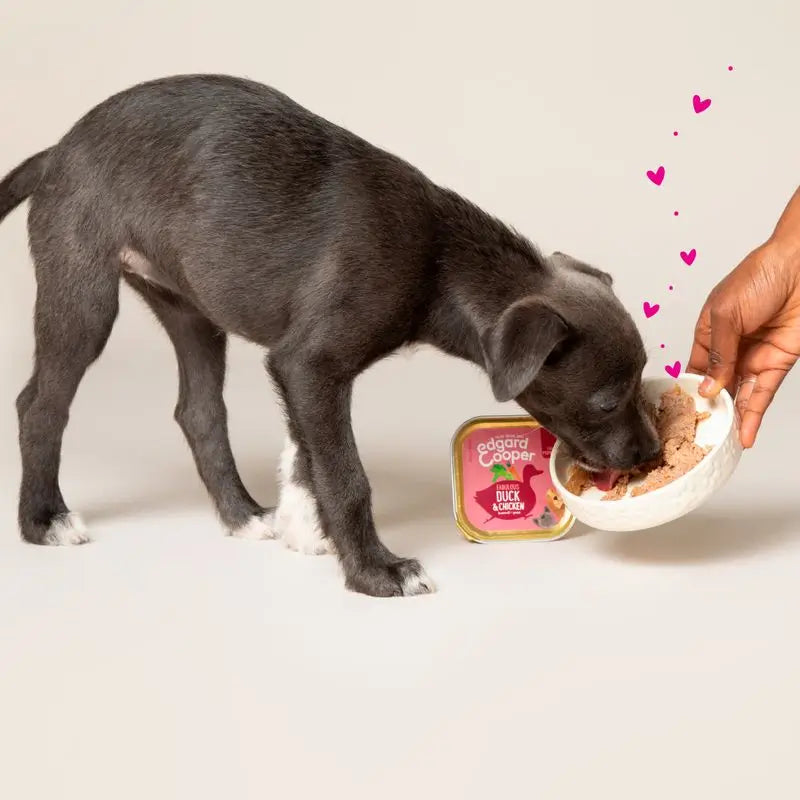 Edgard & Cooper Wet Puppy Food 11x150g Duck & Chicken